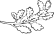 imagem de uma folha branca